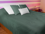 8ac2a8328d81c283bb8afcdcffd660f6