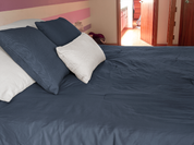 178ccf312d1f4fb3e3483e6ad0055350