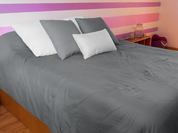 9d4db87d4d4d18ac6147267a1c3ff862