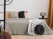 250b017841324f92160b3e0cb4ea82b2