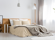 c47d528ca5b7a8be873da577b379940c